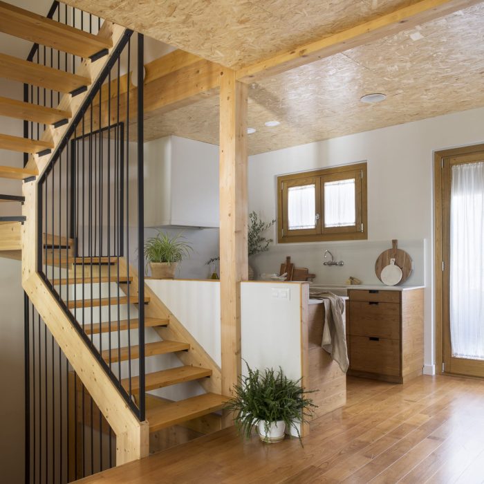 Pia-Capdevila-Proyecto-369-Proyecto-de-biointeriorismo-ecologico-en-Casa-Falguera-8