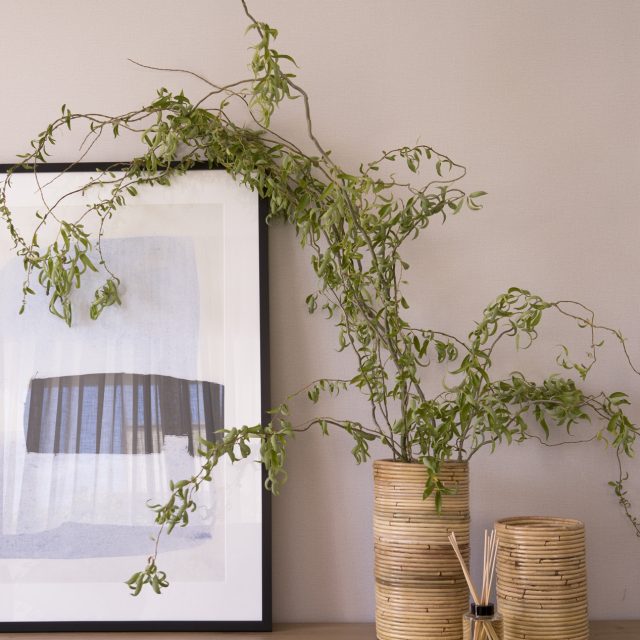 Pia-Capdevila-Proyecto-393-Calafell-Salon-detalle-FOTO®Jordi-Canosa-ESTILISMO-Mar-Gausachs-baja