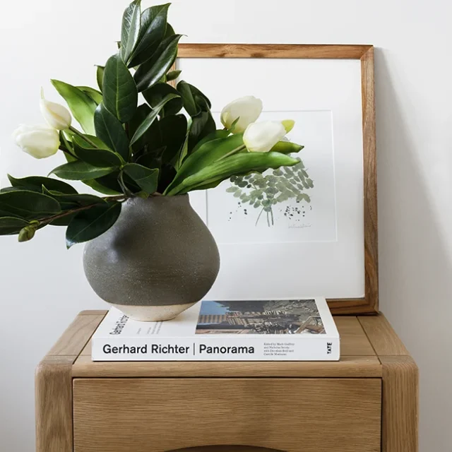 Planta y mueble de decoración - Proyecto Vilanova