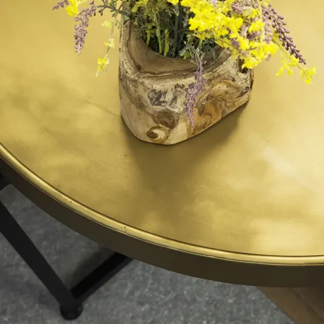 Detalle de planta sobre mesa dorada y circular.